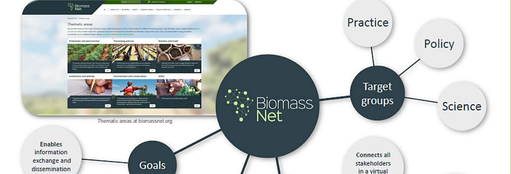BiomassNet provides an interactive platform for networking and information exchange between experts working on biomass in Africa